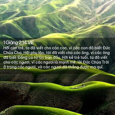 Picture 02 - 1 Giăng 2:14 VIE - Hỡi con trẻ, ta đã viết cho các con, vì - Bible Verse Picture