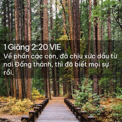 Picture 02 - 1 Giăng 2:20 VIE - Về phần các con, đã chịu xức dầu - Bible Verse Picture