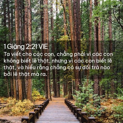 Picture 02 - 1 Giăng 2:21 VIE - Ta viết cho các con, chẳng phải vì các - Bible Verse Picture