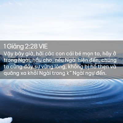 Picture 02 - 1 Giăng 2:28 VIE - Vậy bây giờ, hỡi các con cái bé mọn - Bible Verse Picture