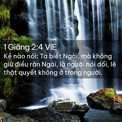 Picture 02 - 1 Giăng 2:4 VIE - Kẻ nào nói: Ta biết Ngài, mà không giữ - Bible Verse Picture