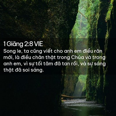 Picture 02 - 1 Giăng 2:8 VIE - Song le, ta cũng viết cho anh em điều răn - Bible Verse Picture