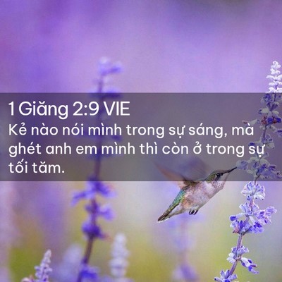 Picture 02 - 1 Giăng 2:9 VIE - Kẻ nào nói mình trong sự sáng, mà ghét - Bible Verse Picture