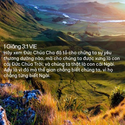 Picture 02 - 1 Giăng 3:1 VIE - Hãy xem Đức Chúa Cha đã tỏ cho chúng ta - Bible Verse Picture