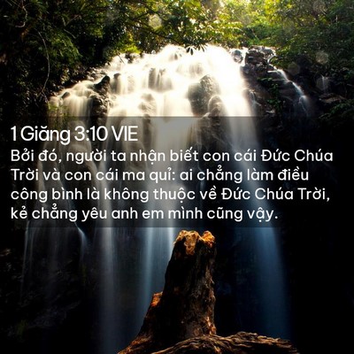 Picture 02 - 1 Giăng 3:10 VIE - Bởi đó, người ta nhận biết con cái - Bible Verse Picture
