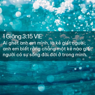 Picture 02 - 1 Giăng 3:15 VIE - Ai ghét anh em mình, là kẻ giết người; - Bible Verse Picture
