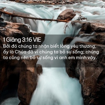 Picture 02 - 1 Giăng 3:16 VIE - Bởi đó chúng ta nhận biết lòng yêu - Bible Verse Picture