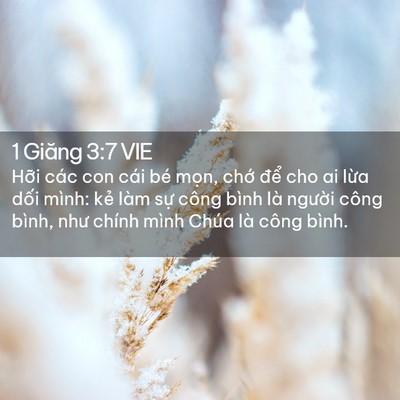 Picture 02 - 1 Giăng 3:7 VIE - Hỡi các con cái bé mọn, chớ để cho ai - Bible Verse Picture