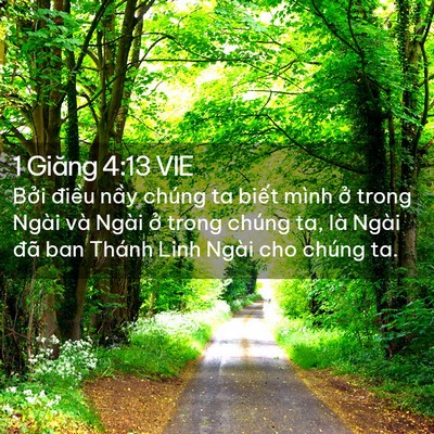 Picture 02 - 1 Giăng 4:13 VIE - Bởi điều nầy chúng ta biết mình ở - Bible Verse Picture