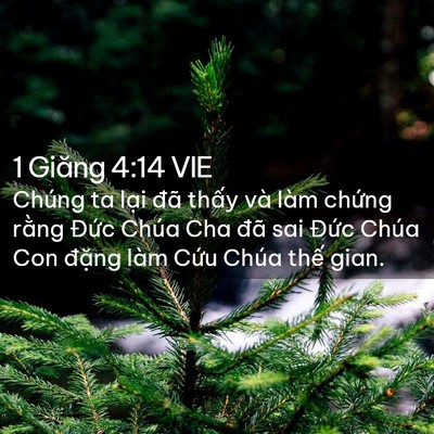 Picture 02 - 1 Giăng 4:14 VIE - Chúng ta lại đã thấy và làm chứng - Bible Verse Picture