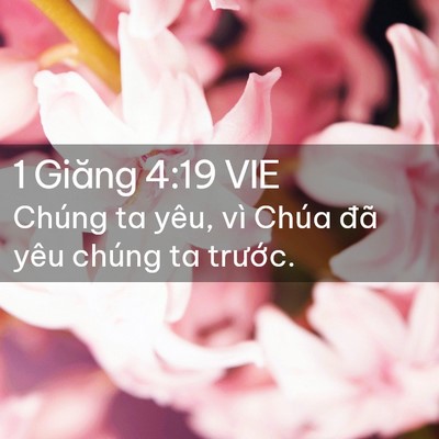 Picture 02 - 1 Giăng 4:19 VIE - Chúng ta yêu, vì Chúa đã yêu chúng ta - Bible Verse Picture