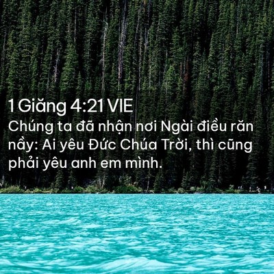 Picture 02 - 1 Giăng 4:21 VIE - Chúng ta đã nhận nơi Ngài điều răn - Bible Verse Picture