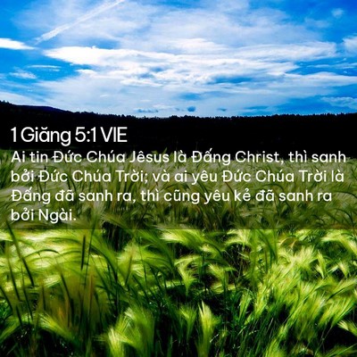 Picture 02 - 1 Giăng 5:1 VIE - Ai tin Đức Chúa Jêsus là Đấng Christ, - Bible Verse Picture
