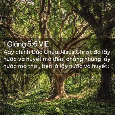 Picture 02 - 1 Giăng 5:6 VIE - Aáy chính Đức Chúa Jêsus Christ đã lấy - Bible Verse Picture