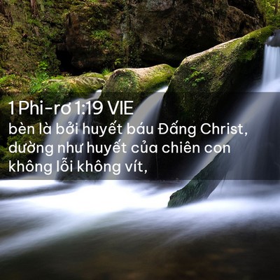 Picture 02 - 1 Phi-rơ 1:19 VIE - bèn là bởi huyết báu Đấng Christ, - Bible Verse Picture