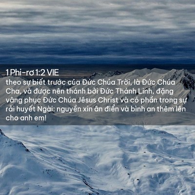 Picture 02 - 1 Phi-rơ 1:2 VIE - theo sự biết trước của Đức Chúa - Bible Verse Picture