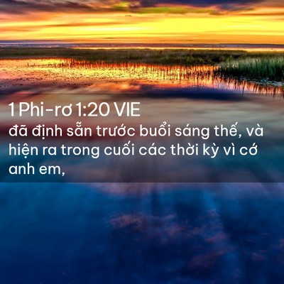 Picture 02 - 1 Phi-rơ 1:20 VIE - đã định sẵn trước buổi sáng thế, - Bible Verse Picture