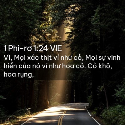 Picture 02 - 1 Phi-rơ 1:24 VIE - Vì, Mọi xác thịt ví như cỏ, Mọi sự - Bible Verse Picture