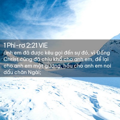 Picture 02 - 1 Phi-rơ 2:21 VIE - anh em đã được kêu gọi đến sự đó, - Bible Verse Picture