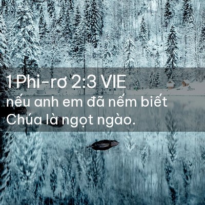 Picture 02 - 1 Phi-rơ 2:3 VIE - nếu anh em đã nếm biết Chúa là ngọt - Bible Verse Picture