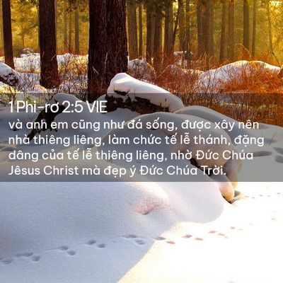 Picture 02 - 1 Phi-rơ 2:5 VIE - và anh em cũng như đá sống, được xây - Bible Verse Picture