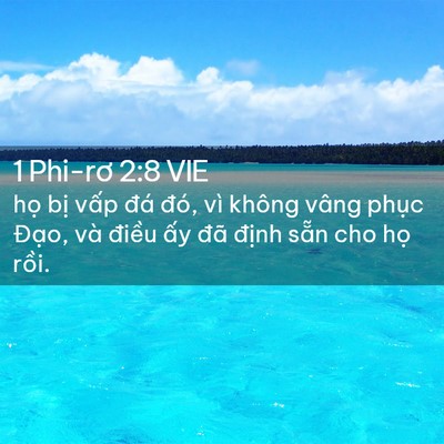 Picture 02 - 1 Phi-rơ 2:8 VIE - họ bị vấp đá đó, vì không vâng - Bible Verse Picture