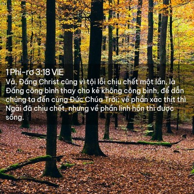 Picture 02 - 1 Phi-rơ 3:18 VIE - Vả, Đấng Christ cũng vì tội lỗi chịu - Bible Verse Picture