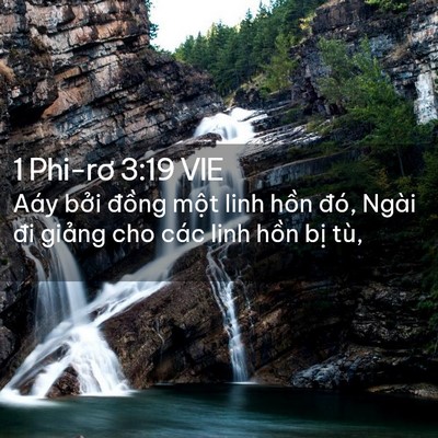 Picture 02 - 1 Phi-rơ 3:19 VIE - Aáy bởi đồng một linh hồn đó, Ngài - Bible Verse Picture