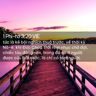 Picture 02 - 1 Phi-rơ 3:20 VIE - tức là kẻ bội nghịch thuở trước, - Bible Verse Picture