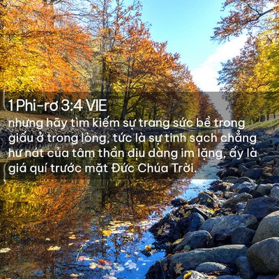 Picture 02 - 1 Phi-rơ 3:4 VIE - nhưng hãy tìm kiếm sự trang sức bề - Bible Verse Picture