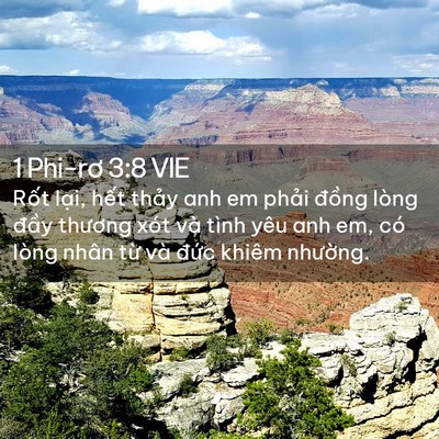 Picture 02 - 1 Phi-rơ 3:8 VIE - Rốt lại, hết thảy anh em phải đồng - Bible Verse Picture