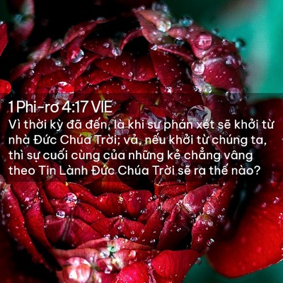 Picture 02 - 1 Phi-rơ 4:17 VIE - Vì thời kỳ đã đến, là khi sự phán - Bible Verse Picture