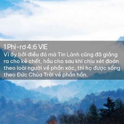 Picture 02 - 1 Phi-rơ 4:6 VIE - Vì ấy bởi điều đó mà Tin Lành cũng - Bible Verse Picture