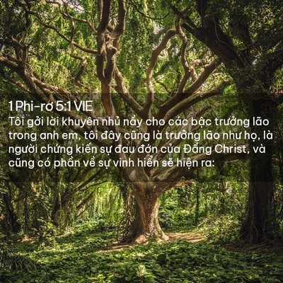 Picture 02 - 1 Phi-rơ 5:1 VIE - Tôi gởi lời khuyên nhủ nầy cho các - Bible Verse Picture
