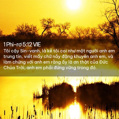 Picture 02 - 1 Phi-rơ 5:12 VIE - Tôi cậy Sin-vanh, là kẻ tôi coi như một - Bible Verse Picture