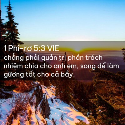 Picture 02 - 1 Phi-rơ 5:3 VIE - chẳng phải quản trị phần trách nhiệm - Bible Verse Picture