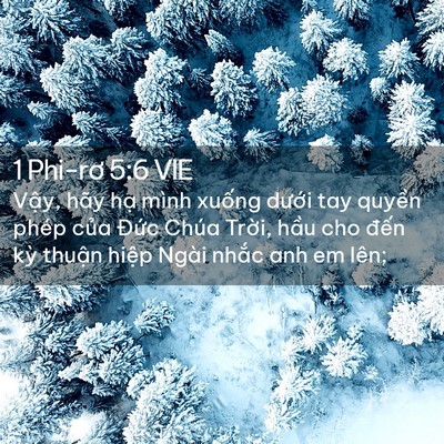Picture 02 - 1 Phi-rơ 5:6 VIE - Vậy, hãy hạ mình xuống dưới tay - Bible Verse Picture