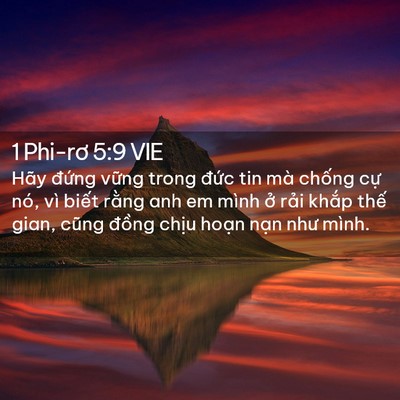 Picture 02 - 1 Phi-rơ 5:9 VIE - Hãy đứng vững trong đức tin mà chống - Bible Verse Picture