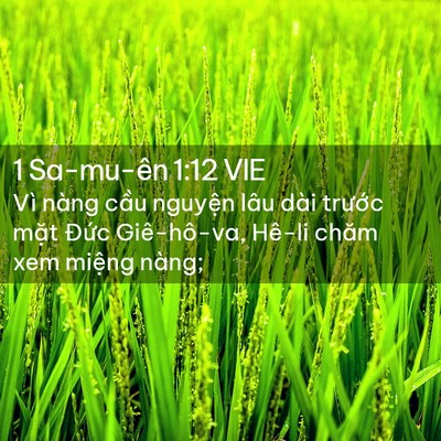 Picture 02 - 1 Sa-mu-ên 1:12 VIE - Vì nàng cầu nguyện lâu dài trước mặt - Bible Verse Picture