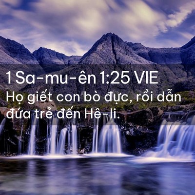 Picture 02 - 1 Sa-mu-ên 1:25 VIE - Họ giết con bò đực, rồi dẫn đứa - Bible Verse Picture