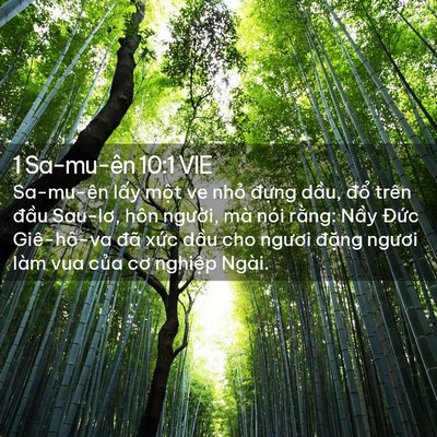 Picture 02 - 1 Sa-mu-ên 10:1 VIE - Sa-mu-ên lấy một ve nhỏ đựng dầu, - Bible Verse Picture