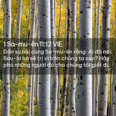 Picture 02 - 1 Sa-mu-ên 11:12 VIE - Dân sự nói cùng Sa-mu-ên rằng: Ai đã - Bible Verse Picture