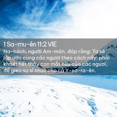 Picture 02 - 1 Sa-mu-ên 11:2 VIE - Na-hách, người Am-môn, đáp rằng: Ta sẽ - Bible Verse Picture