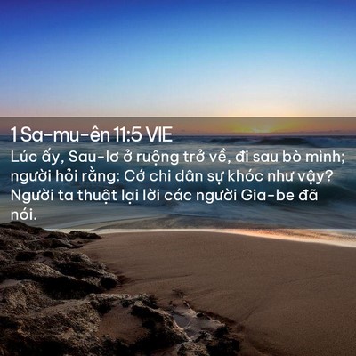 Picture 02 - 1 Sa-mu-ên 11:5 VIE - Lúc ấy, Sau-lơ ở ruộng trở về, đi - Bible Verse Picture