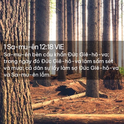 Picture 02 - 1 Sa-mu-ên 12:18 VIE - Sa-mu-ên bèn cầu khẩn Đức Giê-hô-va; - Bible Verse Picture