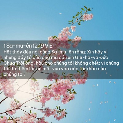 Picture 02 - 1 Sa-mu-ên 12:19 VIE - Hết thảy đều nói cùng Sa-mu-ên rằng: - Bible Verse Picture
