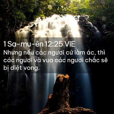 Picture 02 - 1 Sa-mu-ên 12:25 VIE - Nhưng nếu các ngươi cứ làm ác, thì - Bible Verse Picture
