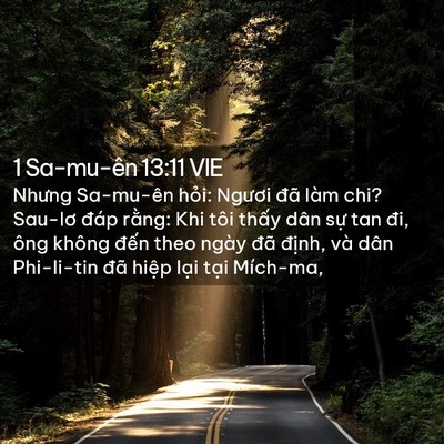 Picture 02 - 1 Sa-mu-ên 13:11 VIE - Nhưng Sa-mu-ên hỏi: Ngươi đã làm chi? - Bible Verse Picture