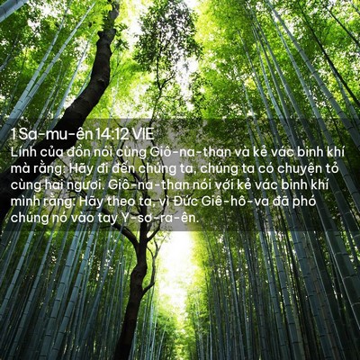 Picture 02 - 1 Sa-mu-ên 14:12 VIE - Lính của đồn nói cùng Giô-na-than và - Bible Verse Picture