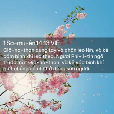 Picture 02 - 1 Sa-mu-ên 14:13 VIE - Giô-na-than dùng tay và chân leo lên, và - Bible Verse Picture
